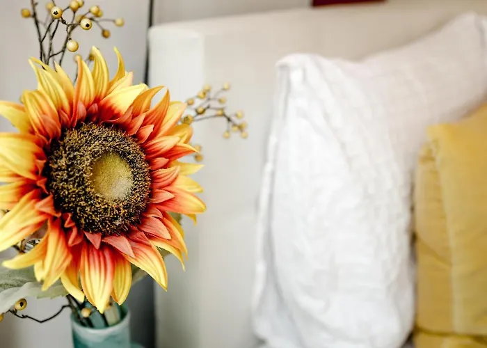Sunflower Amsterdam